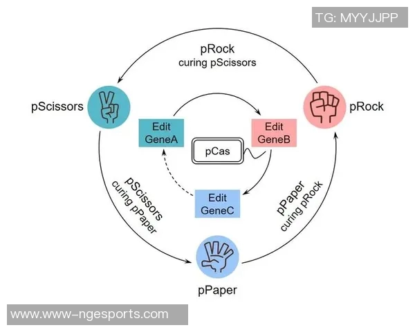 电竞实时数据分析下的CSGO焦点LNG团队协作策略探讨与实践 电竞实时数据分析下的CSGO焦点LNG团队协作策略探讨与实践