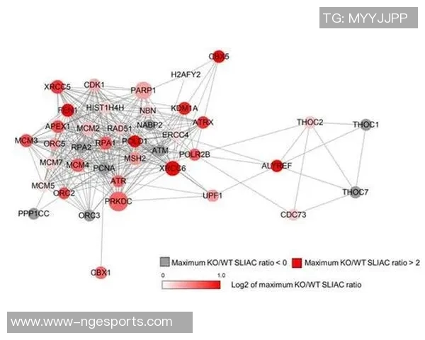 esports数据国际邀请赛V5团队协作表现分析与点评揭示其成功之道